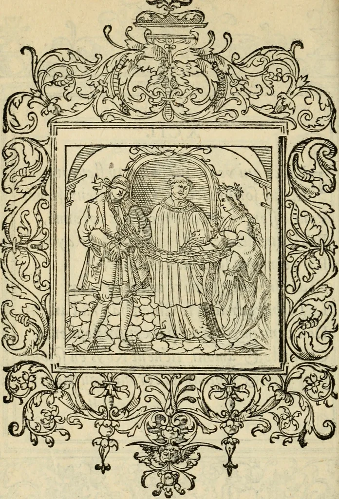 An illustration from Le theatre des bons engins : auquel sont contenuz cent emblemes moraulx, 1545, leaf 203