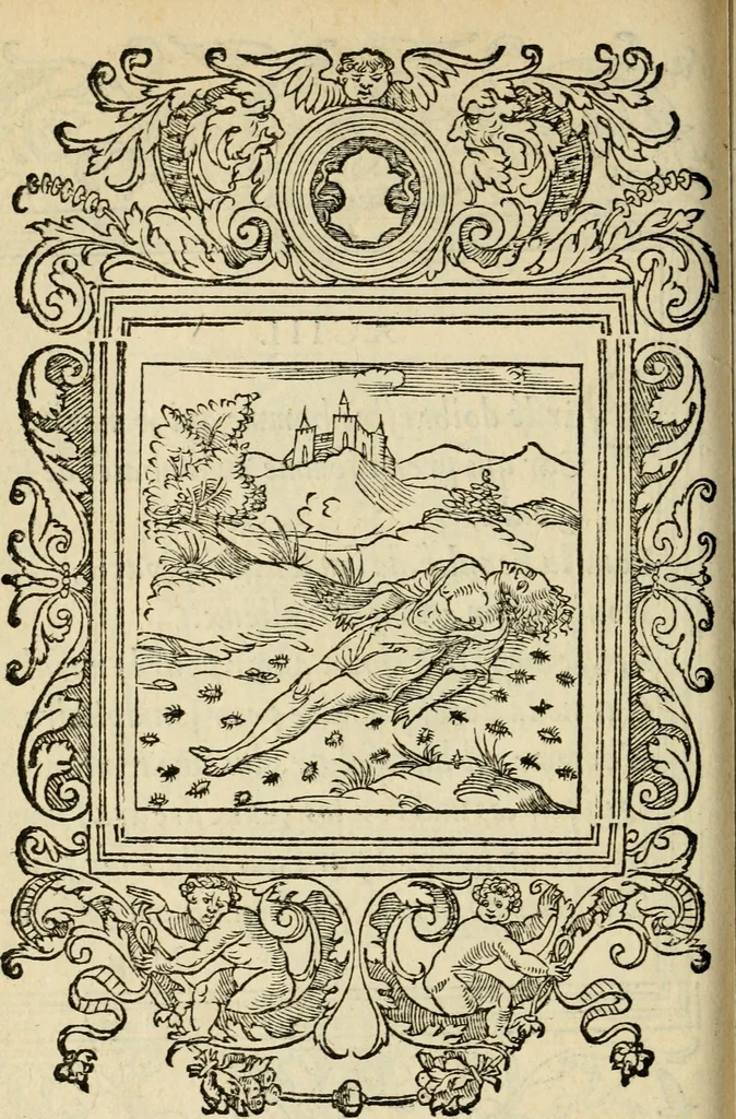 An illustration from Le theatre des bons engins : auquel sont contenuz cent emblemes moraulx, 1545, leaf 205
