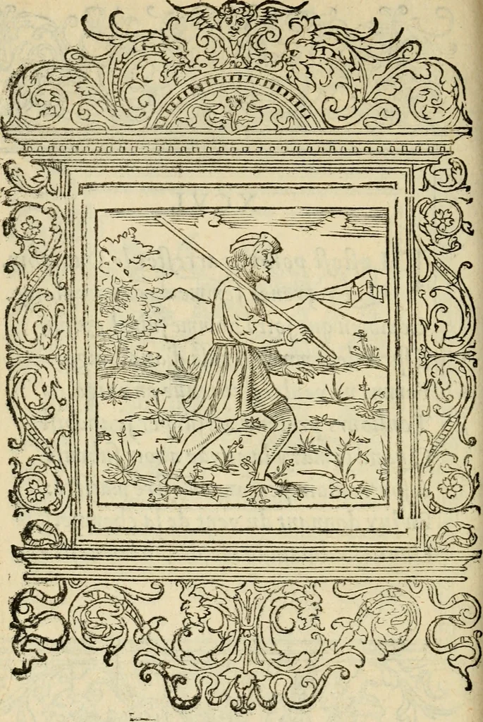 An illustration from Le theatre des bons engins : auquel sont contenuz cent emblemes moraulx, 1545, leaf 211