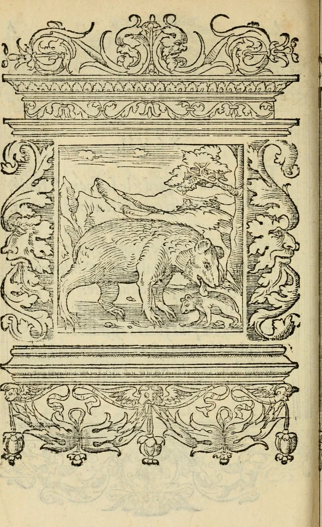 An illustration from Le theatre des bons engins : auquel sont contenuz cent emblemes moraulx, 1545, leaf 213