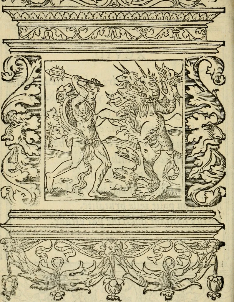 An illustration from Le theatre des bons engins : auquel sont contenuz cent emblemes moraulx, 1545, leaf 215