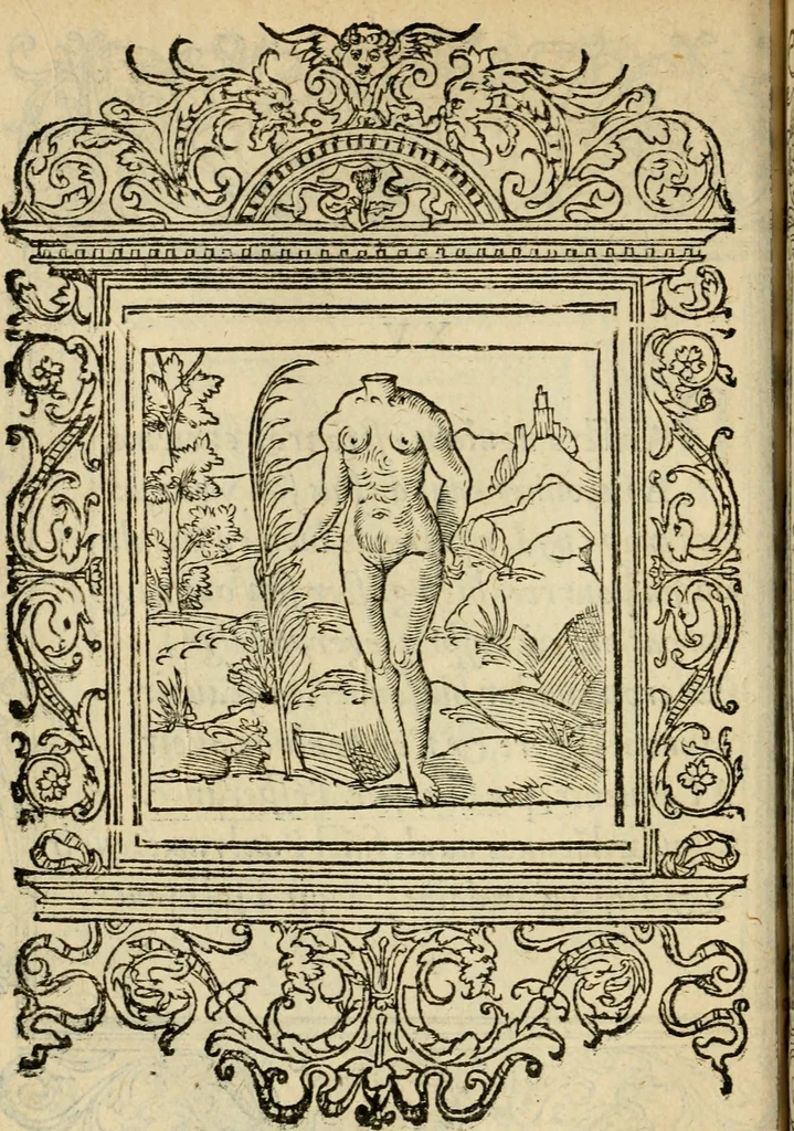 An illustration from Le theatre des bons engins : auquel sont contenuz cent emblemes moraulx, 1545, leaf 49