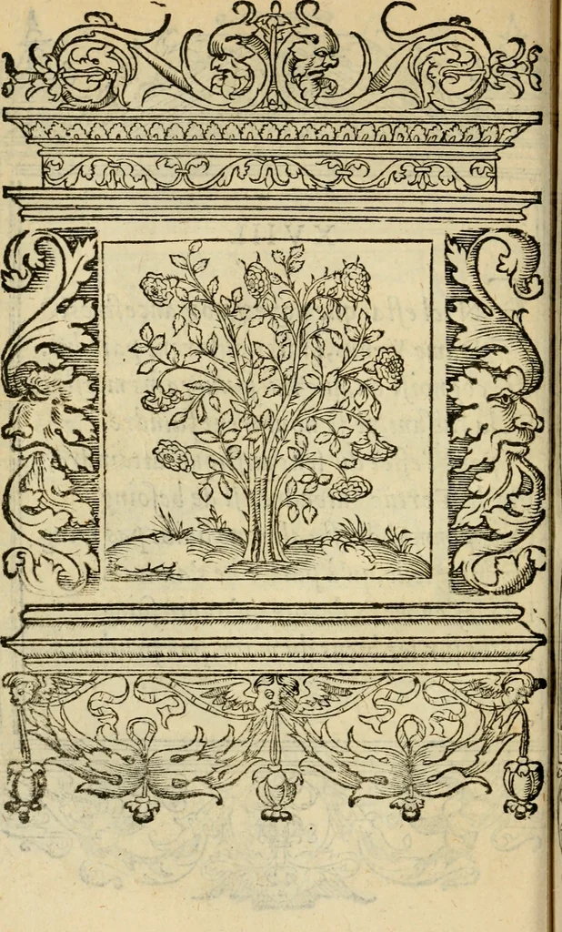An illustration from Le theatre des bons engins : auquel sont contenuz cent emblemes moraulx, 1545, leaf 55