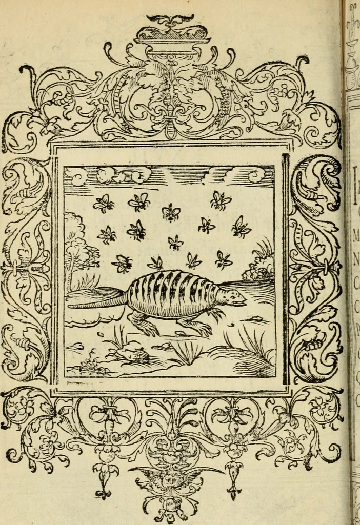 An illustration from Le theatre des bons engins : auquel sont contenuz cent emblemes moraulx, 1545, leaf 73
