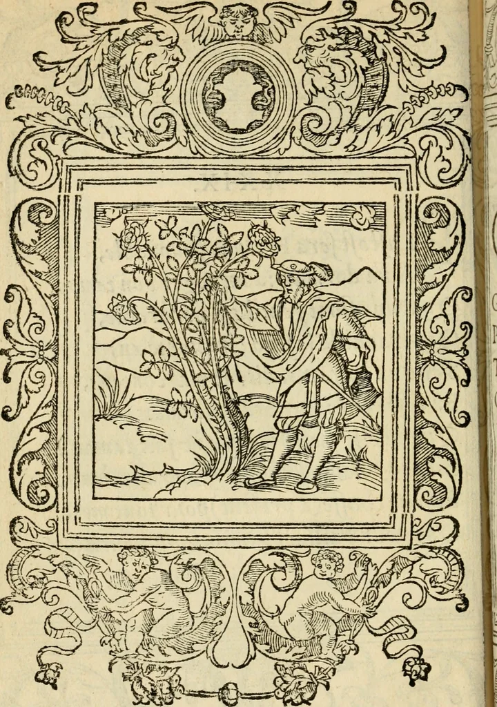 An illustration from Le theatre des bons engins : auquel sont contenuz cent emblemes moraulx, 1545, leaf 77