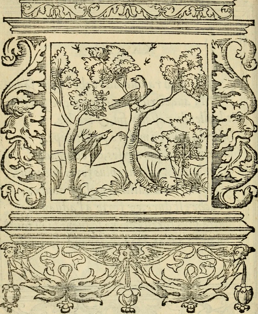 An illustration from Le theatre des bons engins : auquel sont contenuz cent emblemes moraulx, 1545, leaf 85