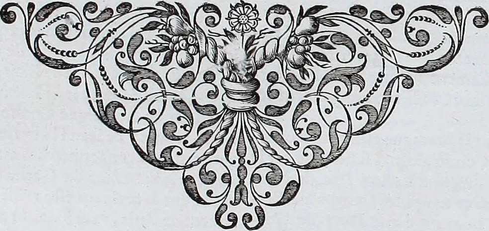 An illustration from Le theatre du monde, ou, Nouuel atlas [cartographic material], 1650, leaf 157