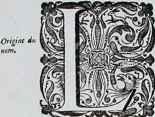 An illustration from Le theatre du monde, ou, Nouuel atlas [cartographic material], 1650, leaf 282
