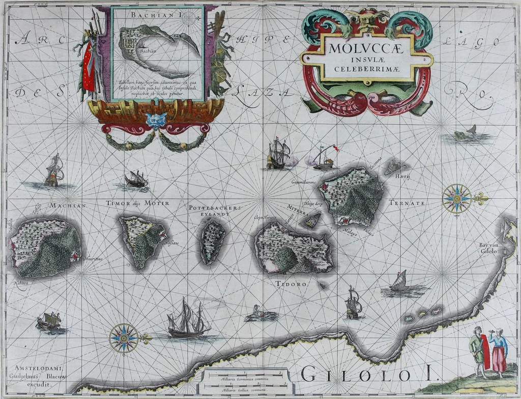 An illustration from Le theatre du monde, ou, Nouuel atlas [cartographic material], 1650, leaf 304