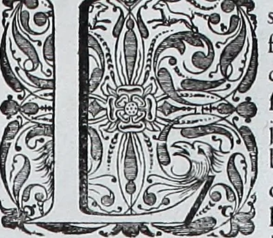 An illustration from Le theatre du monde, ou, Nouuel atlas [cartographic material], 1650, leaf 322