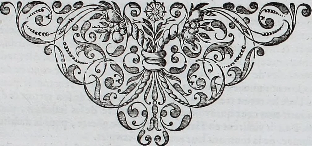 An illustration from Le theatre du monde, ou, Nouuel atlas [cartographic material], 1650, leaf 347