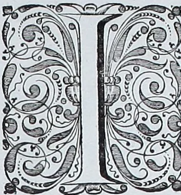 An illustration from Le theatre du monde, ou, Nouuel atlas [cartographic material], 1650, leaf 378