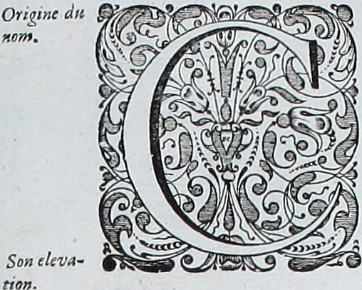 An illustration from Le theatre du monde, ou, Nouuel atlas [cartographic material], 1650, leaf 384