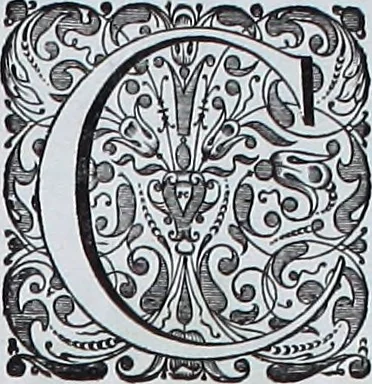 An illustration from Le theatre du monde, ou, Nouuel atlas [cartographic material], 1650, leaf 394