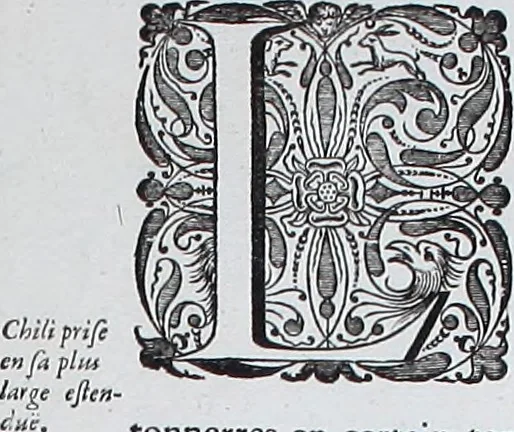 An illustration from Le theatre du monde, ou, Nouuel atlas [cartographic material], 1650, leaf 428