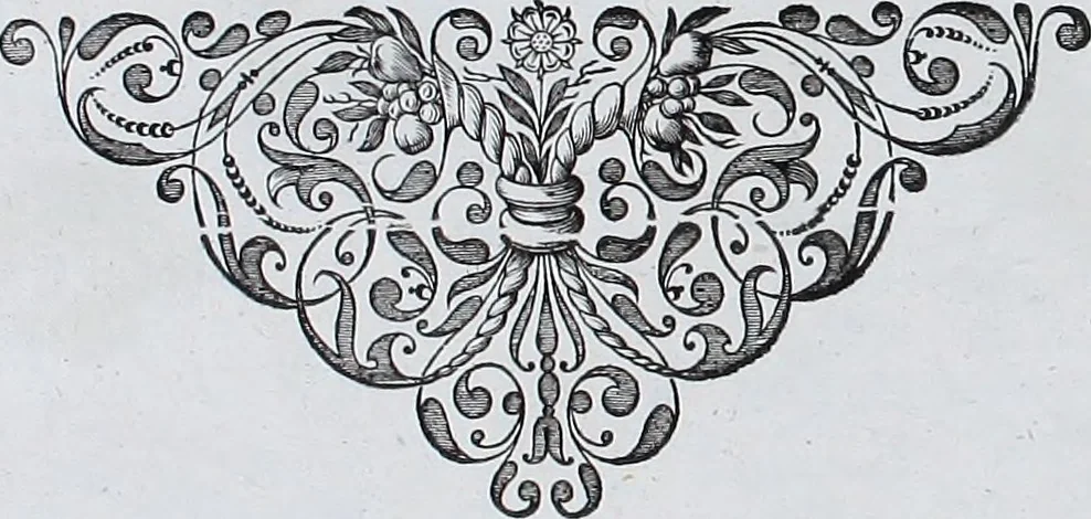 An illustration from Le theatre du monde, ou, Nouuel atlas [cartographic material], 1650, leaf 49