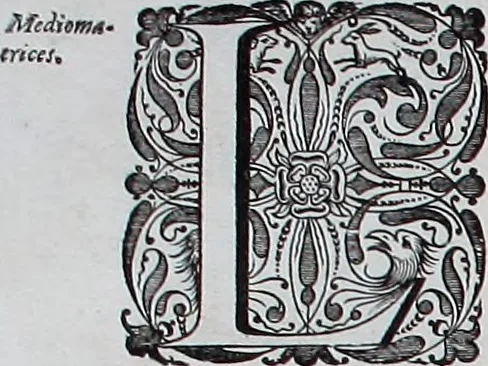 An illustration from Le theatre du monde, ou, Nouuel atlas [cartographic material], 1650, leaf 85
