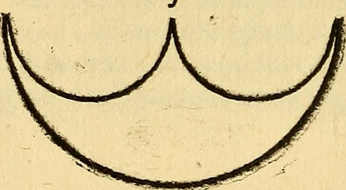 An illustration from L'Ethica d' Aristotile, 1550, leaf 237