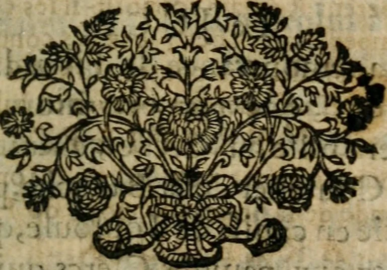 An illustration from Le Théâtre italien; ou, Le recueil de toutes les scènes françoises qui ont esté joüées sur le Théâtre italien de l'Hoôtel de Bourgogne, 1695, leaf 158