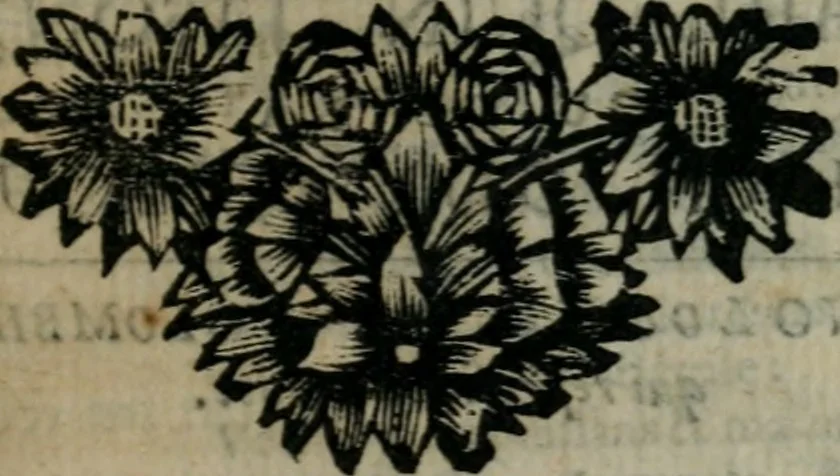 An illustration from Le Théâtre italien, ou, Le recueil de toutes les comédies et scènes françoises, qui ont été jouées sur le Théâtre Italien par la troupe des Comédiens du roy de l'Hotel de Bourgogne à Paris. Suivant la copie de Paris, 1695, leaf 184