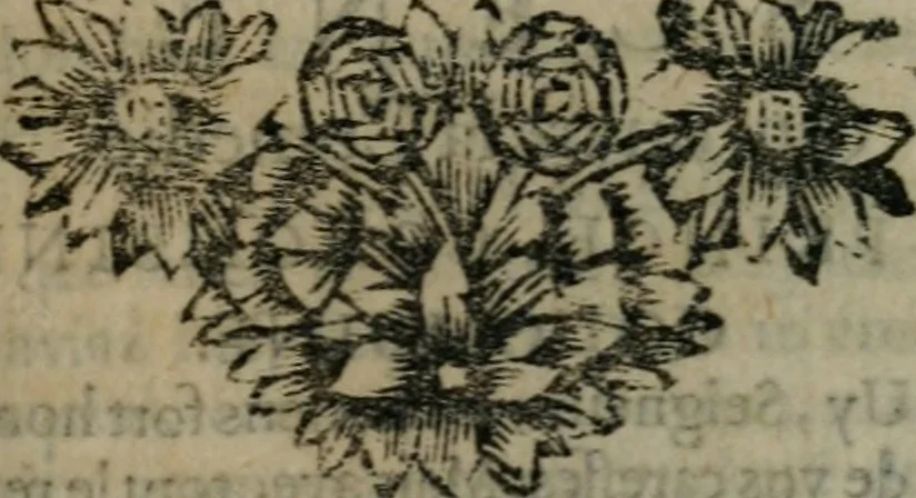 An illustration from Le Théâtre italien, ou, Le recueil de toutes les comédies et scènes françoises, qui ont été jouées sur le Théâtre Italien par la troupe des Comédiens du roy de l'Hotel de Bourgogne à Paris. Suivant la copie de Paris, 1695, leaf 312