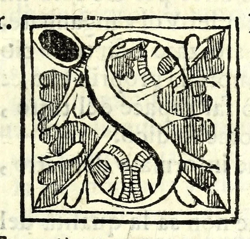 An illustration from Le tre comedie famose del signor d. Filippo Caetano, dvca di Sermoneta : cioè La schiava, L'Ortentio, Li dve vecchi, 1644, leaf 9