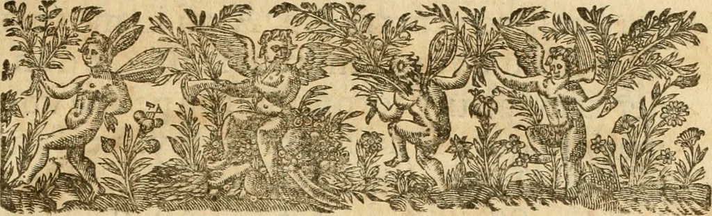 An illustration from Le tresor des merueilles de la maison royale de Fontainebleau : contenant la description de son antiquité, de sa fondation, de ses bastimens, de ses rares peintures, tableaux, emblemes, & deuises : de ses iardins, de ses fontaines, & autres singularitez qui s'y voyent ..., 1642, leaf 12