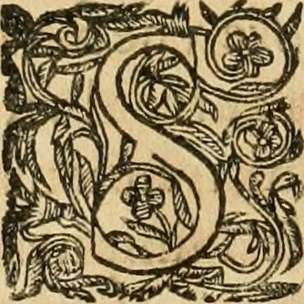 An illustration from Le tresor des merueilles de la maison royale de Fontainebleau : contenant la description de son antiquité, de sa fondation, de ses bastimens, de ses rares peintures, tableaux, emblemes, & deuises : de ses iardins, de ses fontaines, & autres singularitez qui s'y voyent ..., 1642, leaf 141