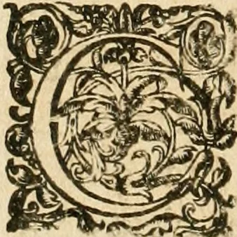 An illustration from Le tresor des merueilles de la maison royale de Fontainebleau : contenant la description de son antiquité, de sa fondation, de ses bastimens, de ses rares peintures, tableaux, emblemes, & deuises : de ses iardins, de ses fontaines, & autres singularitez qui s'y voyent ..., 1642, leaf 179