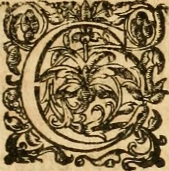 An illustration from Le tresor des merueilles de la maison royale de Fontainebleau : contenant la description de son antiquité, de sa fondation, de ses bastimens, de ses rares peintures, tableaux, emblemes, & deuises : de ses iardins, de ses fontaines, & autres singularitez qui s'y voyent ..., 1642, leaf 186