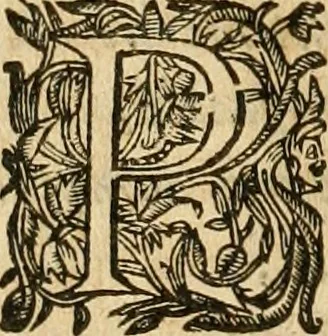 An illustration from Le tresor des merueilles de la maison royale de Fontainebleau : contenant la description de son antiquité, de sa fondation, de ses bastimens, de ses rares peintures, tableaux, emblemes, & deuises : de ses iardins, de ses fontaines, & autres singularitez qui s'y voyent ..., 1642, leaf 189