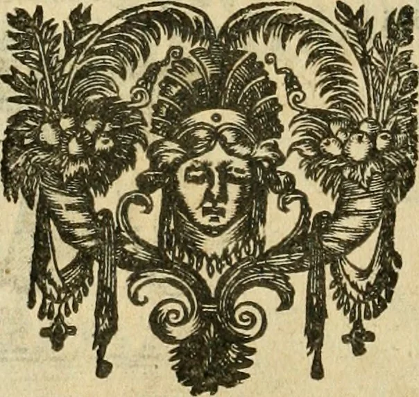 An illustration from Le tresor des merueilles de la maison royale de Fontainebleau : contenant la description de son antiquité, de sa fondation, de ses bastimens, de ses rares peintures, tableaux, emblemes, & deuises : de ses iardins, de ses fontaines, & autres singularitez qui s'y voyent ..., 1642, leaf 217