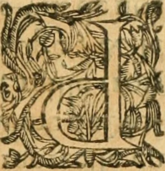 An illustration from Le tresor des merueilles de la maison royale de Fontainebleau : contenant la description de son antiquité, de sa fondation, de ses bastimens, de ses rares peintures, tableaux, emblemes, & deuises : de ses iardins, de ses fontaines, & autres singularitez qui s'y voyent ..., 1642, leaf 253