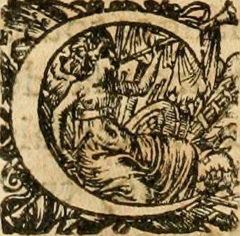 An illustration from Le tresor des merueilles de la maison royale de Fontainebleau : contenant la description de son antiquité, de sa fondation, de ses bastimens, de ses rares peintures, tableaux, emblemes, & deuises : de ses iardins, de ses fontaines, & autres singularitez qui s'y voyent ..., 1642, leaf 301