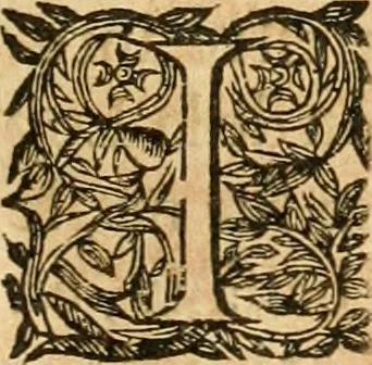 An illustration from Le tresor des merueilles de la maison royale de Fontainebleau : contenant la description de son antiquité, de sa fondation, de ses bastimens, de ses rares peintures, tableaux, emblemes, & deuises : de ses iardins, de ses fontaines, & autres singularitez qui s'y voyent ..., 1642, leaf 312