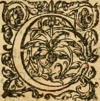 An illustration from Le tresor des merueilles de la maison royale de Fontainebleau : contenant la description de son antiquité, de sa fondation, de ses bastimens, de ses rares peintures, tableaux, emblemes, & deuises : de ses iardins, de ses fontaines, & autres singularitez qui s'y voyent ..., 1642, leaf 342
