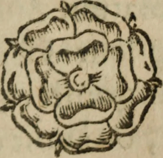 An illustration from Le Triomphe d'Amour et de Mars : représenté en la personne d'Angélique et de deux princes infortunés, 1632, leaf 164