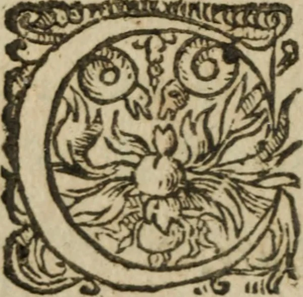 An illustration from Le Triomphe d'Amour et de Mars : représenté en la personne d'Angélique et de deux princes infortunés, 1632, leaf 165
