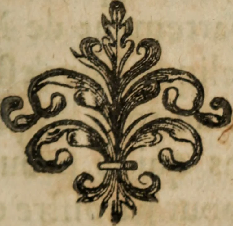 An illustration from Le Triomphe d'Amour et de Mars : représenté en la personne d'Angélique et de deux princes infortunés, 1632, leaf 390