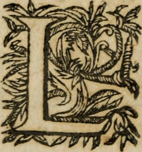 An illustration from Le Triomphe d'Amour et de Mars : représenté en la personne d'Angélique et de deux princes infortunés, 1632, leaf 391
