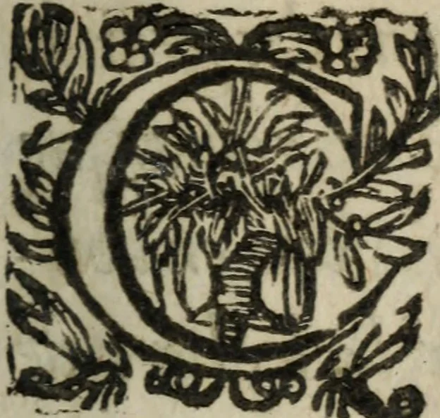 An illustration from Le Triomphe d'Amour et de Mars : représenté en la personne d'Angélique et de deux princes infortunés, 1632, leaf 6