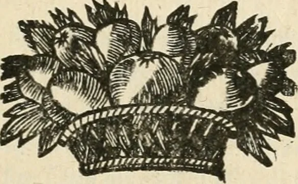 An illustration from Le triomphe de la France sur l'entrée royale de Leurs Maiestez dans leur bonne ville de Paris : avec les discours heroïques sur les vies des roys de France, depuis Pharamond jusqu'à nostre Grand Monarque Louis XIV : ensemble les eloges de la reyne, de la reyne mere, &de Son Eminence : dedié à Messieurs les prevost des marchands, & eschevins de la ville, 1660, leaf 168