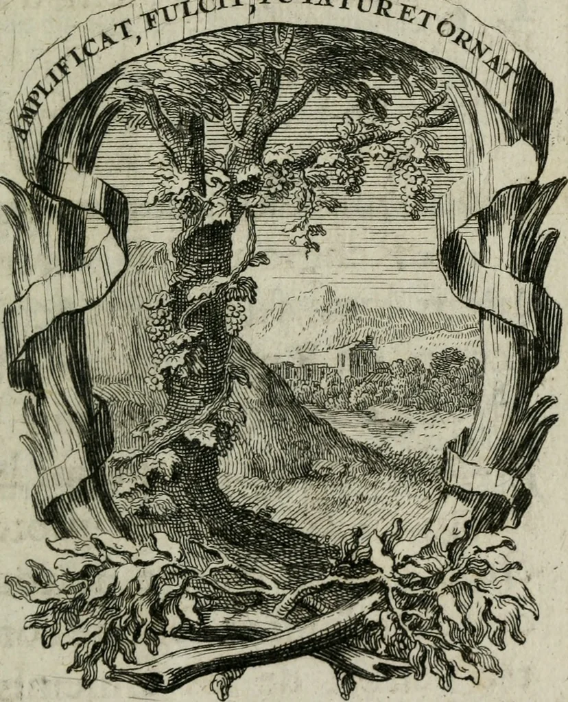 An illustration from Le triomphe de la religion sous Louis le Grand : représenté par des inscriptions & des devises : avec une explication en vers latins & françois, 1687, leaf 34