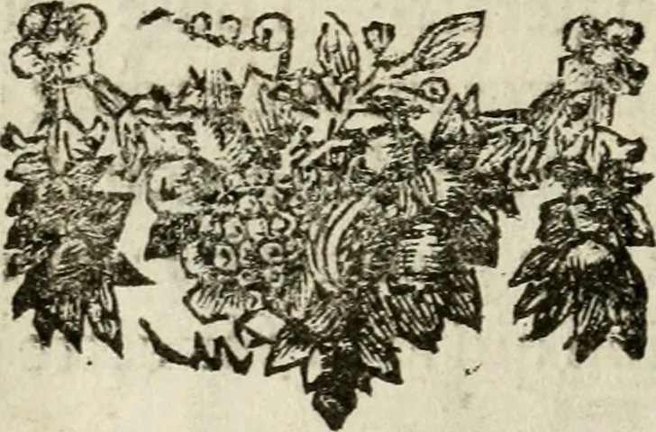 An illustration from Le triomphe royal : où l'on voit dêscrits les arcs de triomphe, piramydes, tablaux, & devises au nombre de 65, erigez à la Haye, à l'honneur de Guillaume III, roy d'Angleterre, Ecosse, France, & Irlande, 1691, leaf 117