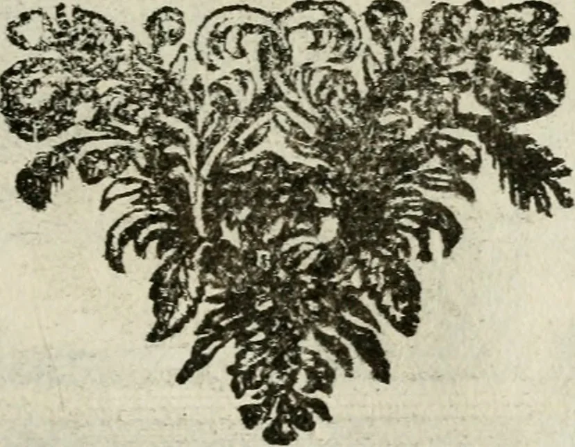 An illustration from Le triomphe royal : où l'on voit dêscrits les arcs de triomphe, piramydes, tablaux, & devises au nombre de 65, erigez à la Haye, à l'honneur de Guillaume III, roy d'Angleterre, Ecosse, France, & Irlande, 1691, leaf 122