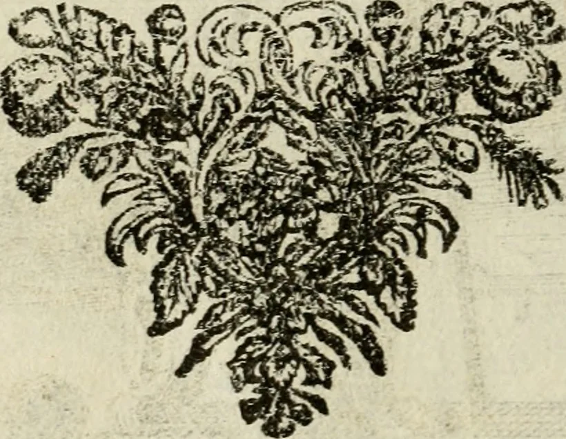An illustration from Le triomphe royal : où l'on voit dêscrits les arcs de triomphe, piramydes, tablaux, & devises au nombre de 65, erigez à la Haye, à l'honneur de Guillaume III, roy d'Angleterre, Ecosse, France, & Irlande, 1691, leaf 123