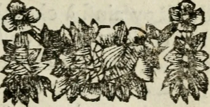 An illustration from Le triomphe royal : où l'on voit dêscrits les arcs de triomphe, piramydes, tablaux, & devises au nombre de 65, erigez à la Haye, à l'honneur de Guillaume III, roy d'Angleterre, Ecosse, France, & Irlande, 1691, leaf 142