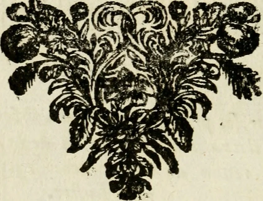 An illustration from Le triomphe royal : où l'on voit dêscrits les arcs de triomphe, piramydes, tablaux, & devises au nombre de 65, erigez à la Haye, à l'honneur de Guillaume III, roy d'Angleterre, Ecosse, France, & Irlande, 1691, leaf 207