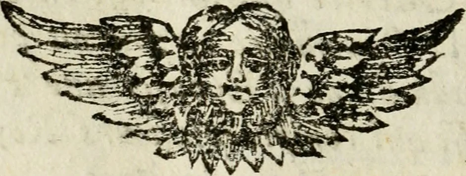 An illustration from Le triomphe royal : où l'on voit dêscrits les arcs de triomphe, piramydes, tablaux, & devises au nombre de 65, erigez à la Haye, à l'honneur de Guillaume III, roy d'Angleterre, Ecosse, France, & Irlande, 1691, leaf 211