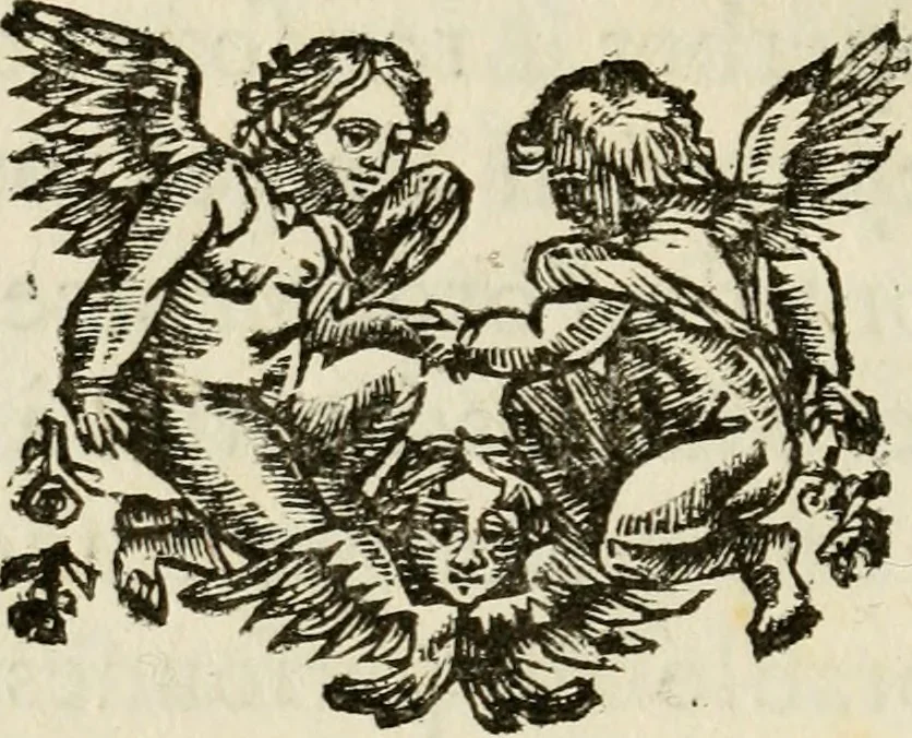 An illustration from Le triomphe royal : où l'on voit dêscrits les arcs de triomphe, piramydes, tablaux, & devises au nombre de 65, erigez à la Haye, à l'honneur de Guillaume III, roy d'Angleterre, Ecosse, France, & Irlande, 1691, leaf 25